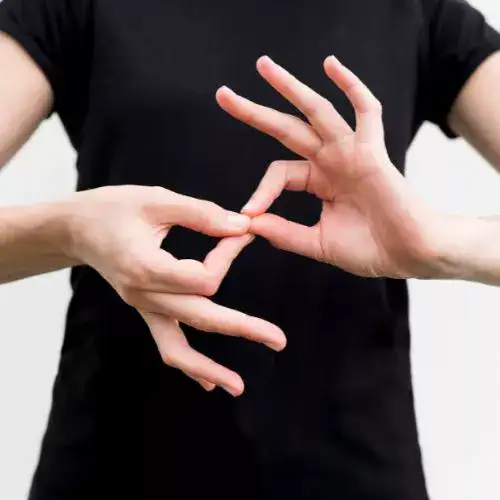 Sign language interpreter services